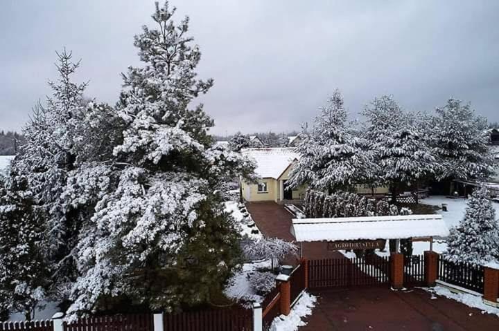 Agroturystyka Barycz 46 Konskie Exterior foto